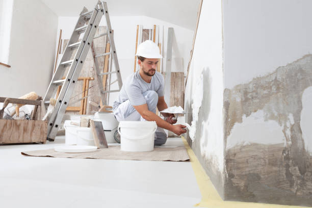 Best Environmental Consulting for Mold Prevention  in Aitkin, MN