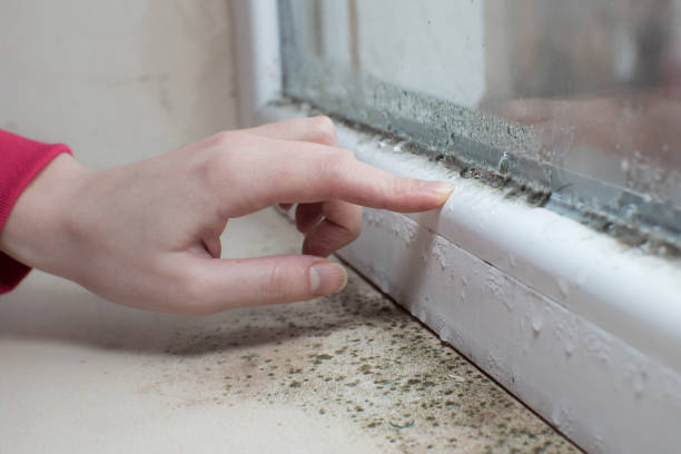 Best Indoor Air Quality Assessment  in Aitkin, MN