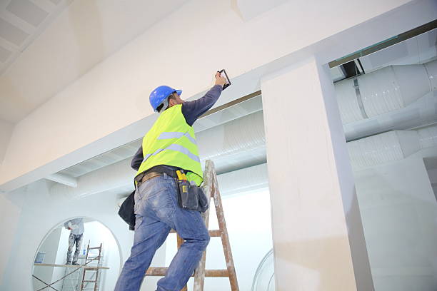 Reliable Aitkin, MN Mold Removal Solutions