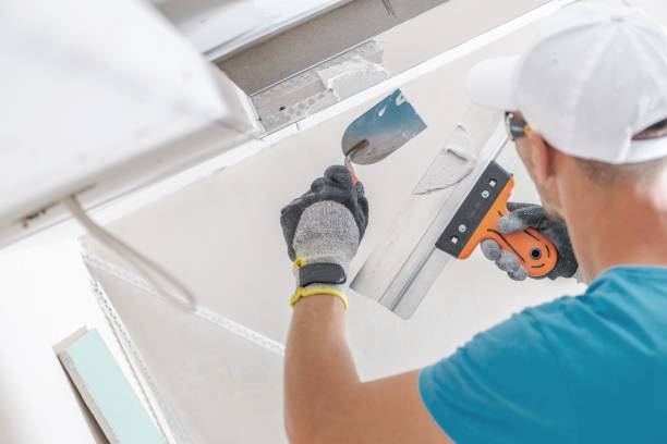 Best Black Mold Removal  in Aitkin, MN